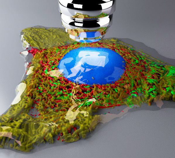 Cell visualisation from XR Life Science