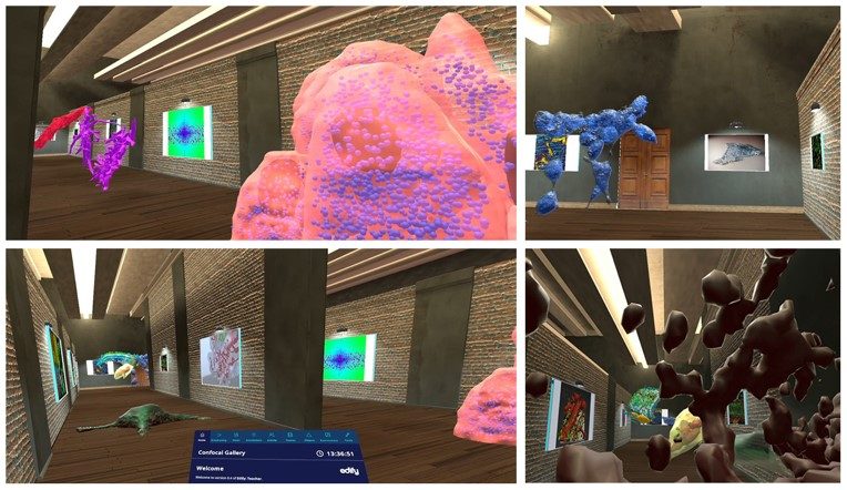 VR Data Gallery