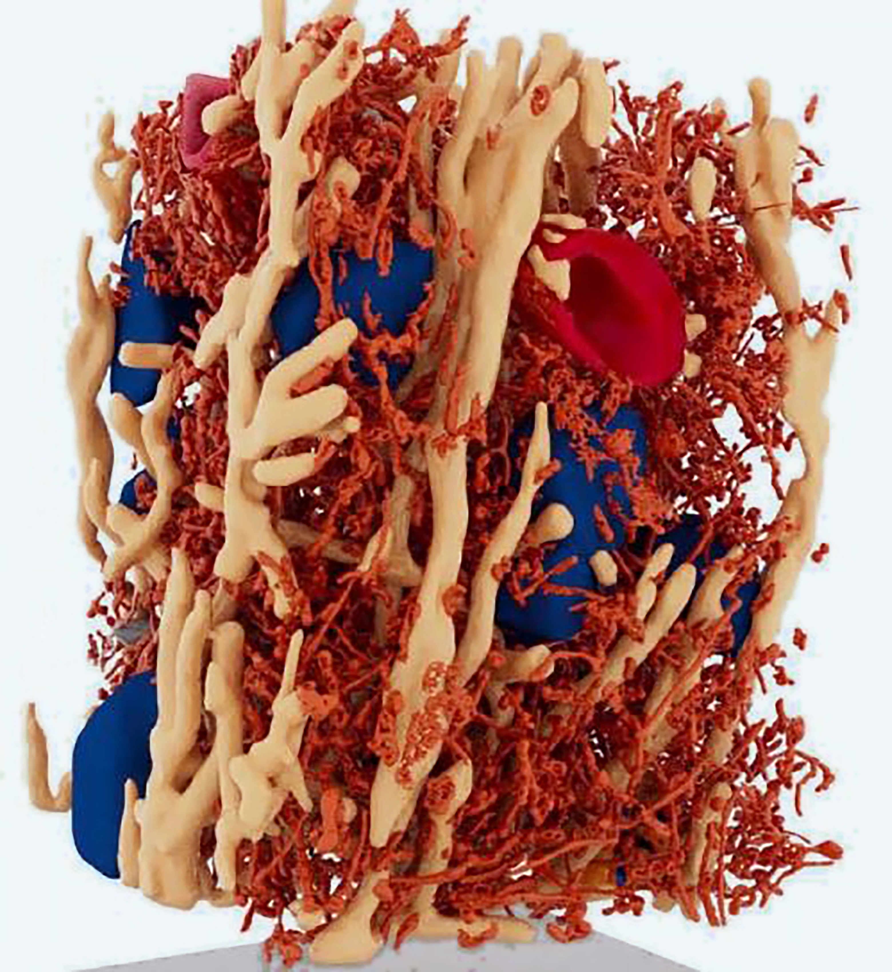 3D Visualisation